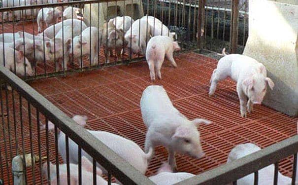 宿州<a href=/geshan/44.html target=_blank class=infotextkey>玻璃鋼格柵板</a>價格專業廠家