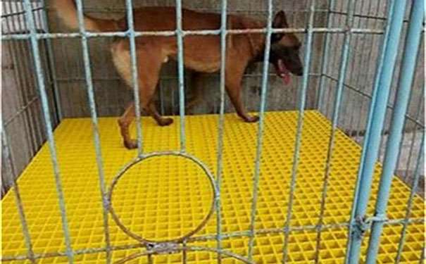 尉氏玻璃鋼格柵板a生產廠家