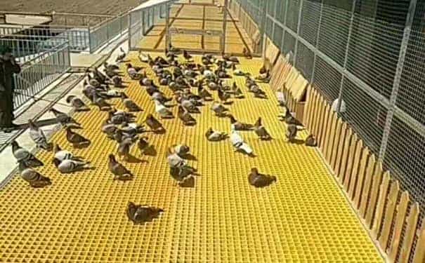 無錫玻璃鋼格柵板公司