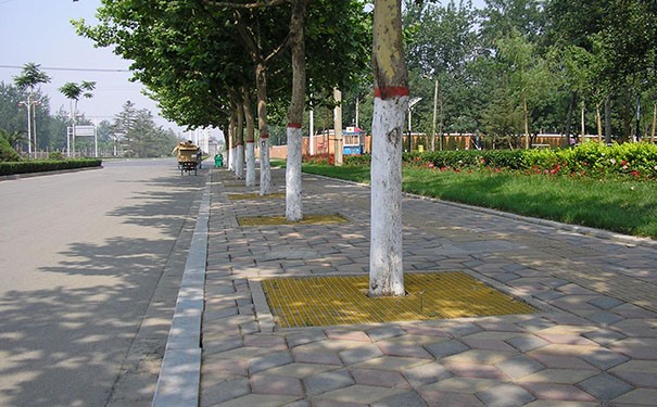 玻璃鋼格柵樹(shù)池蓋板